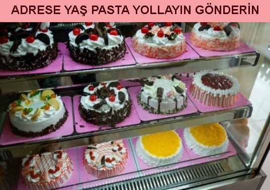 Bilecik Ahmetpınar Adrese yaş pasta yolla gönder