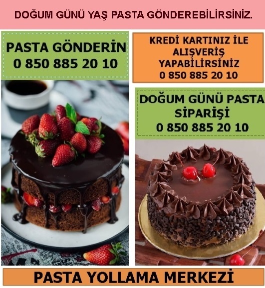 Bilecik Osmaneli Camicedit Mahallesi yaş pasta yolla sipariş gönder doğum günü pastası